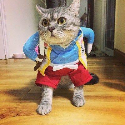 Funny Pets Costum Trendolya