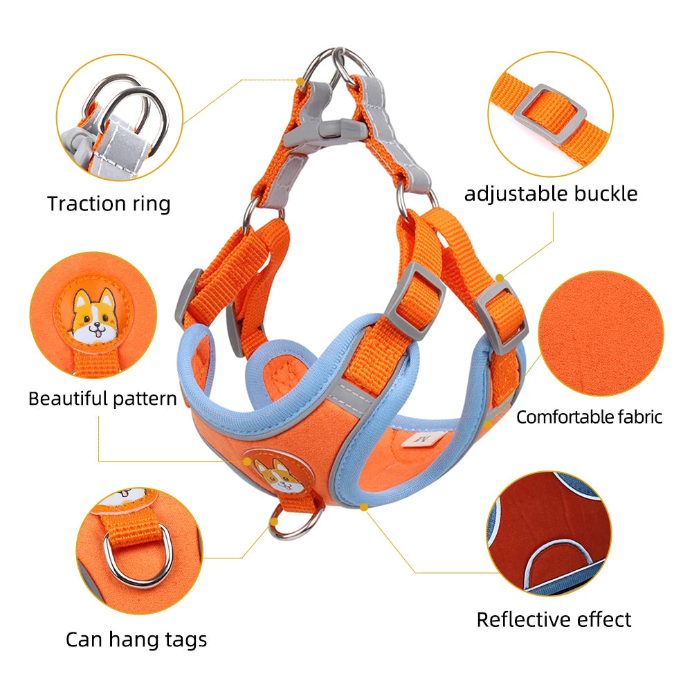 Pet Cat Harness And Leash Set Trendolya