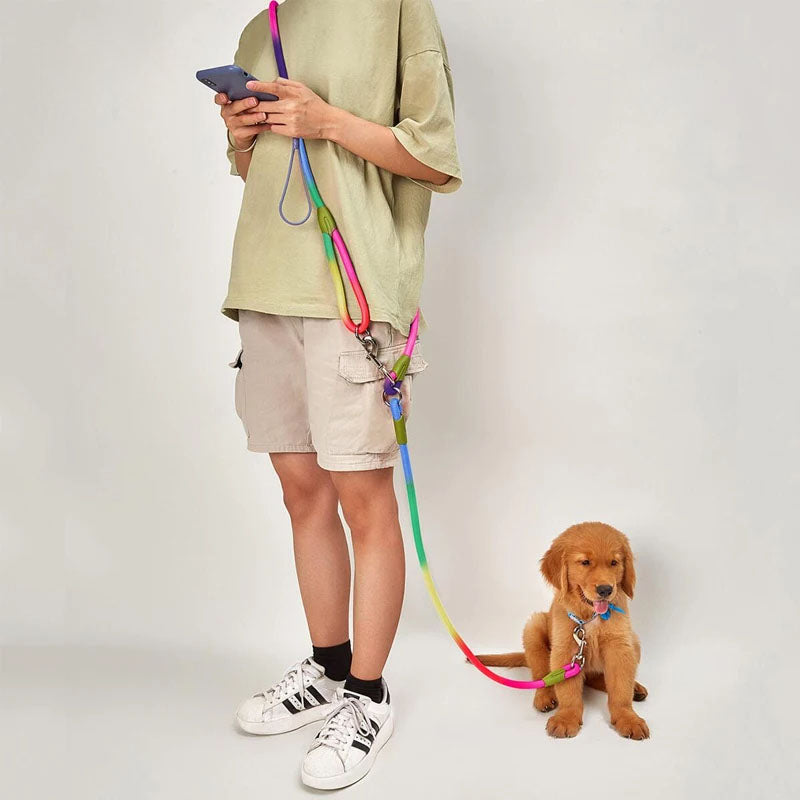Reflective Hands-Free Nylon Leash for Pets Trendolya