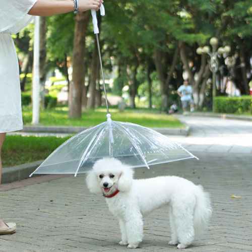 Pet Umbrella Trendolya