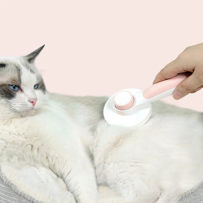 Self-Cleaning Pet Brush Trendolya