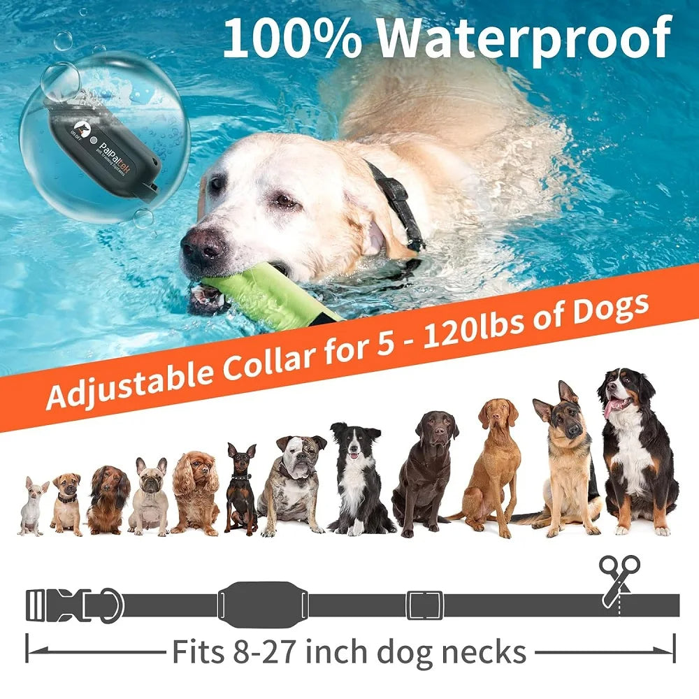 Dog Training Collar Trendolya