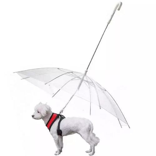 Pet Umbrella Trendolya