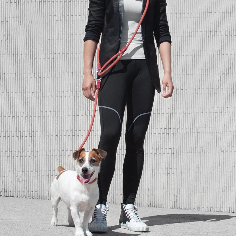 Reflective Hands-Free Nylon Leash for Pets Trendolya