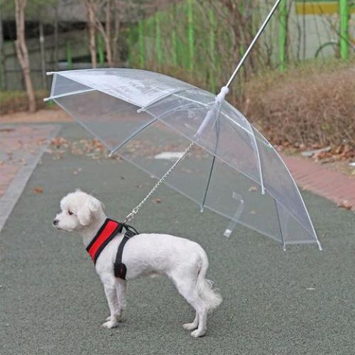 Pet Umbrella Trendolya