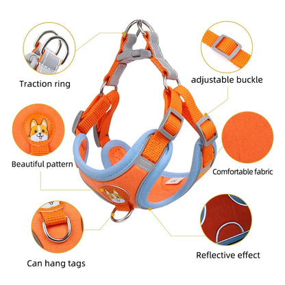 Pet Cat Harness And Leash Set Trendolya