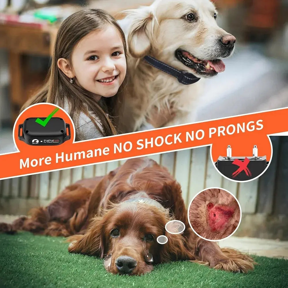 Dog Training Collar Trendolya
