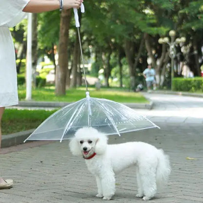 Pet Umbrella Trendolya